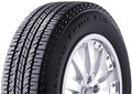 Long Trail T/A Tour BFGoodrich